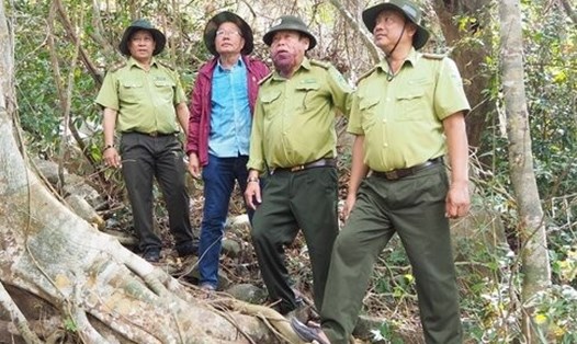 Lãnh đạo Chi cục Kiểm lâm Cà Mau kiểm tra thực tế khô hạn tại cụm đảo Hòn Khoai. Ảnh: Huy Hải