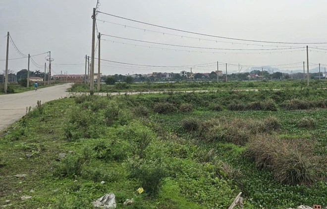 Hace aproximadamente 1 mes, el precio de la tierra en la ciudad de Hoa Lu (Ninh Binh) aumento rapidamente. Foto: Nguyen Truong