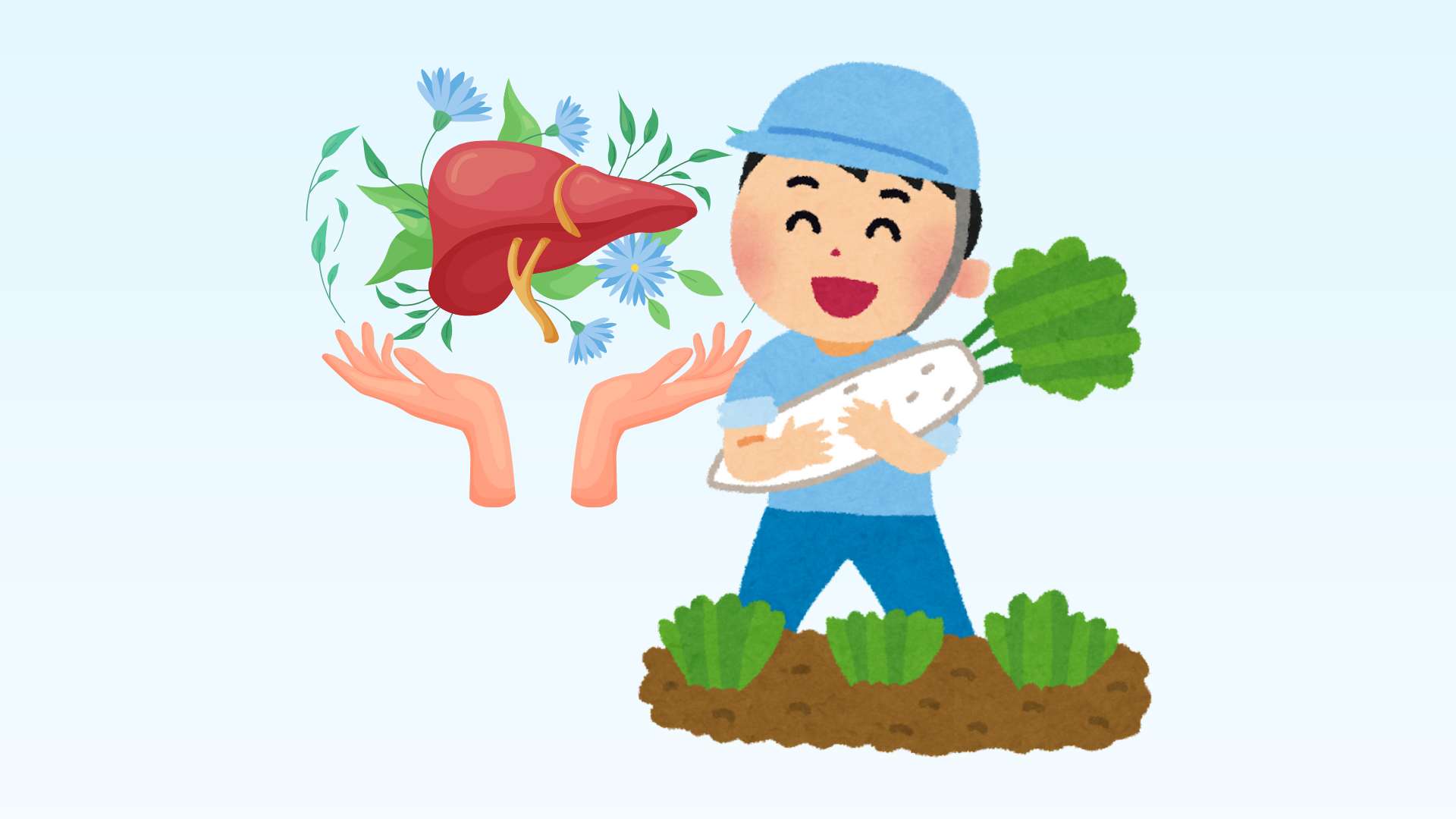 Surprised by the liver detoxification effect of white tubers. Graphics: Dinh Dinh