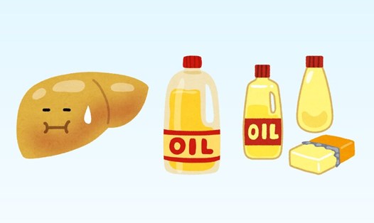 3 loại dầu ăn nên tránh vì cản trở quá trình thải độc gan. Đồ họa: Minh Châu
