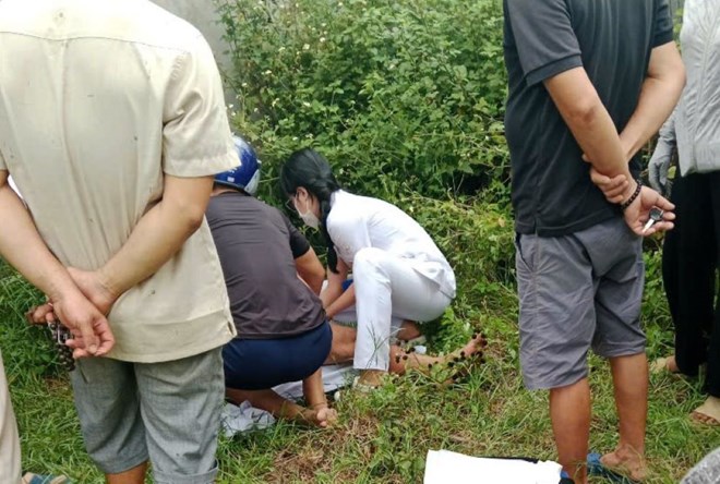 Hai nguoi dan ong bi trau huc nhap vien o huyen Binh Chanh, trua 22.2. Anh: Dong Hoang