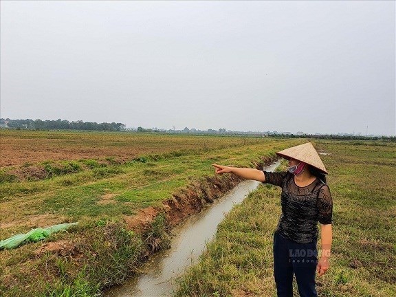 Neu nguoi su dung dat khong dung dat nong nghiep lien tuc trong khoang thoi gian quy dinh se bi Nha nuoc thu hoi. Ảnh: Phan Anh