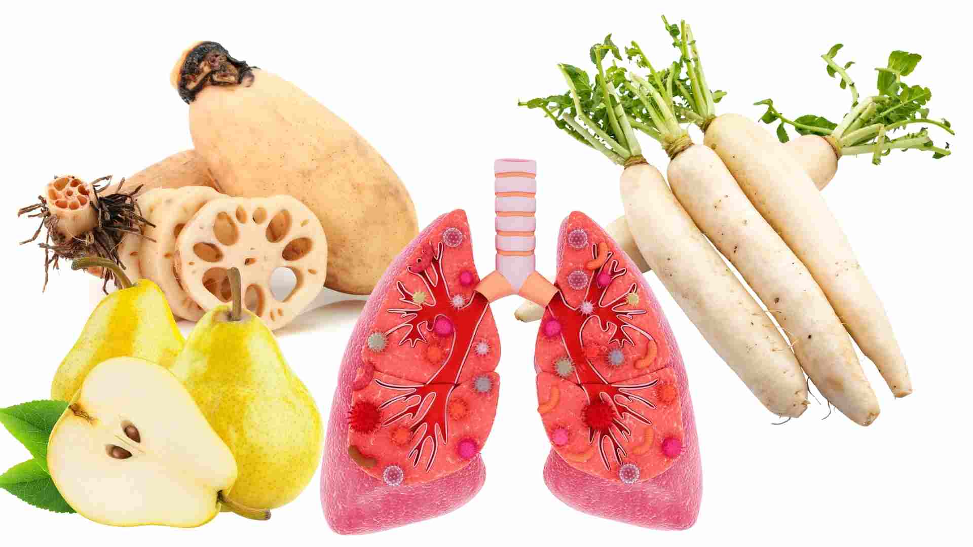 White foods that nourish the lungs. Graphics: Ha May