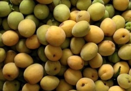 Apricots are a fruit that can help reduce fat. Photo: Kieu Vu