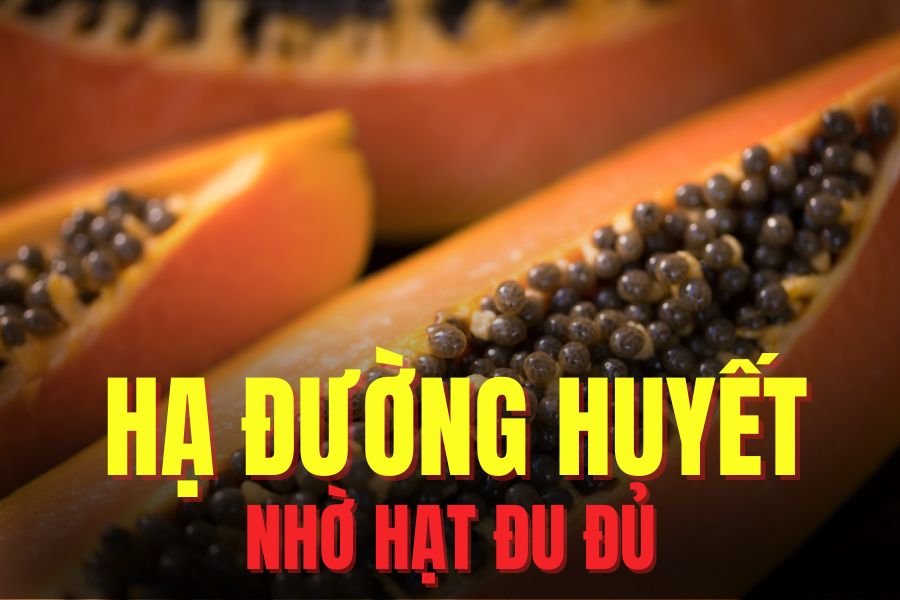 Papaya seeds effectively help lower blood sugar. Graphics: Tra My