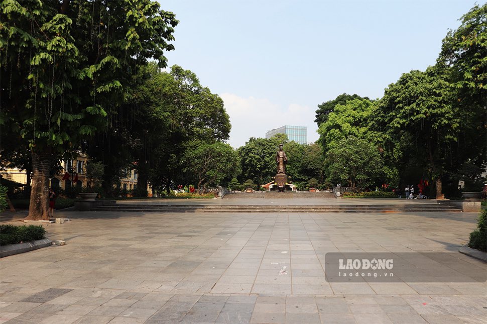 Many trees in Ly Thai To flower garden (Hoan Kiem district, Hanoi) are proposed to be relocated and cut down. Photo: Thai Manh