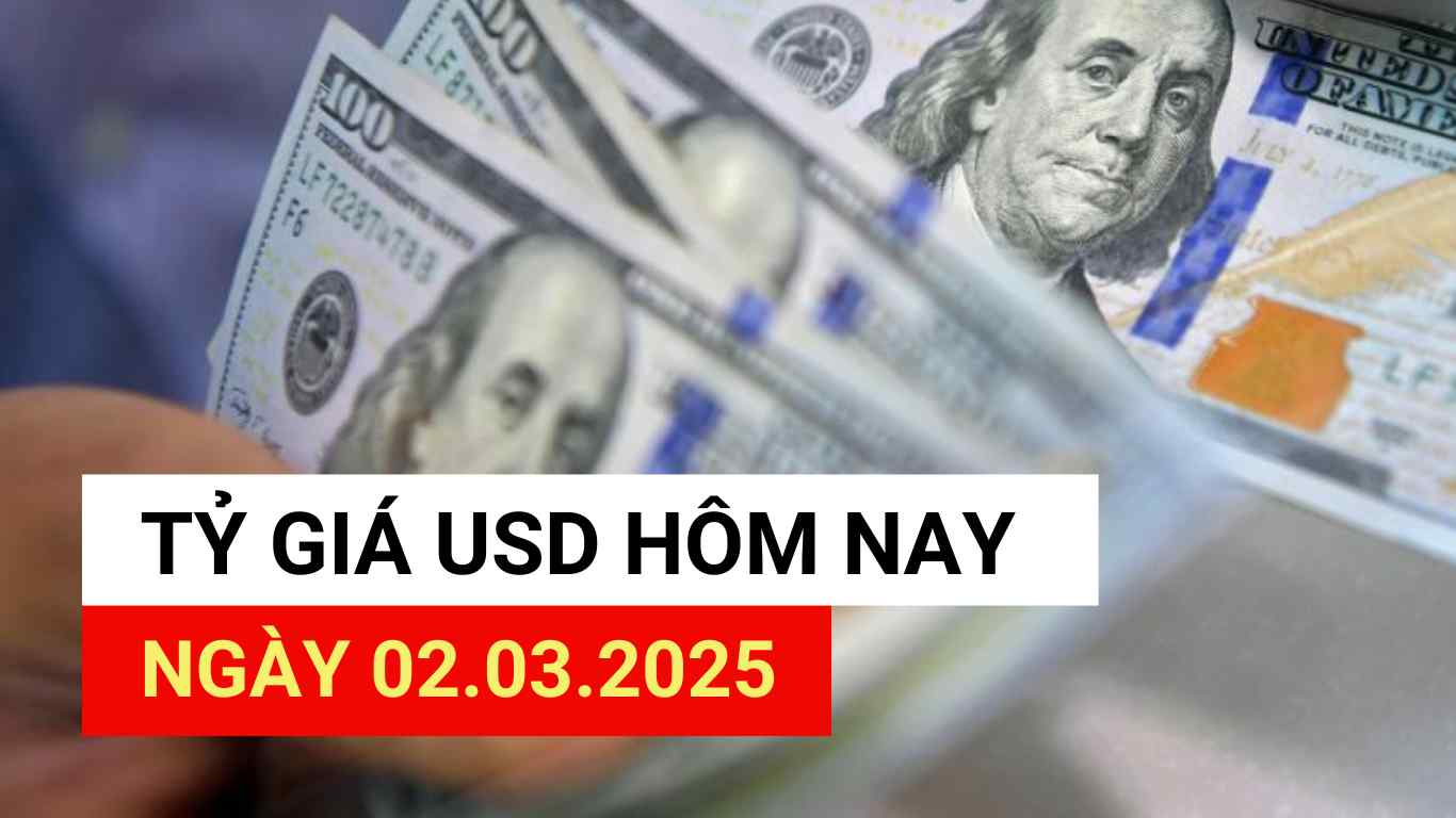 USD exchange rate today 2.3.2025.