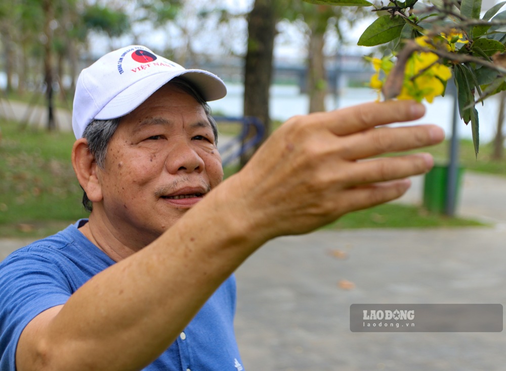 Ong Hoang Nhu Tuan – mot nguoi dan nhan xet: “Hoang mai du no vao dip nao cung dep ruc ro. No giup khong khi tro nen tuoi vui, tran day nang luong”. 