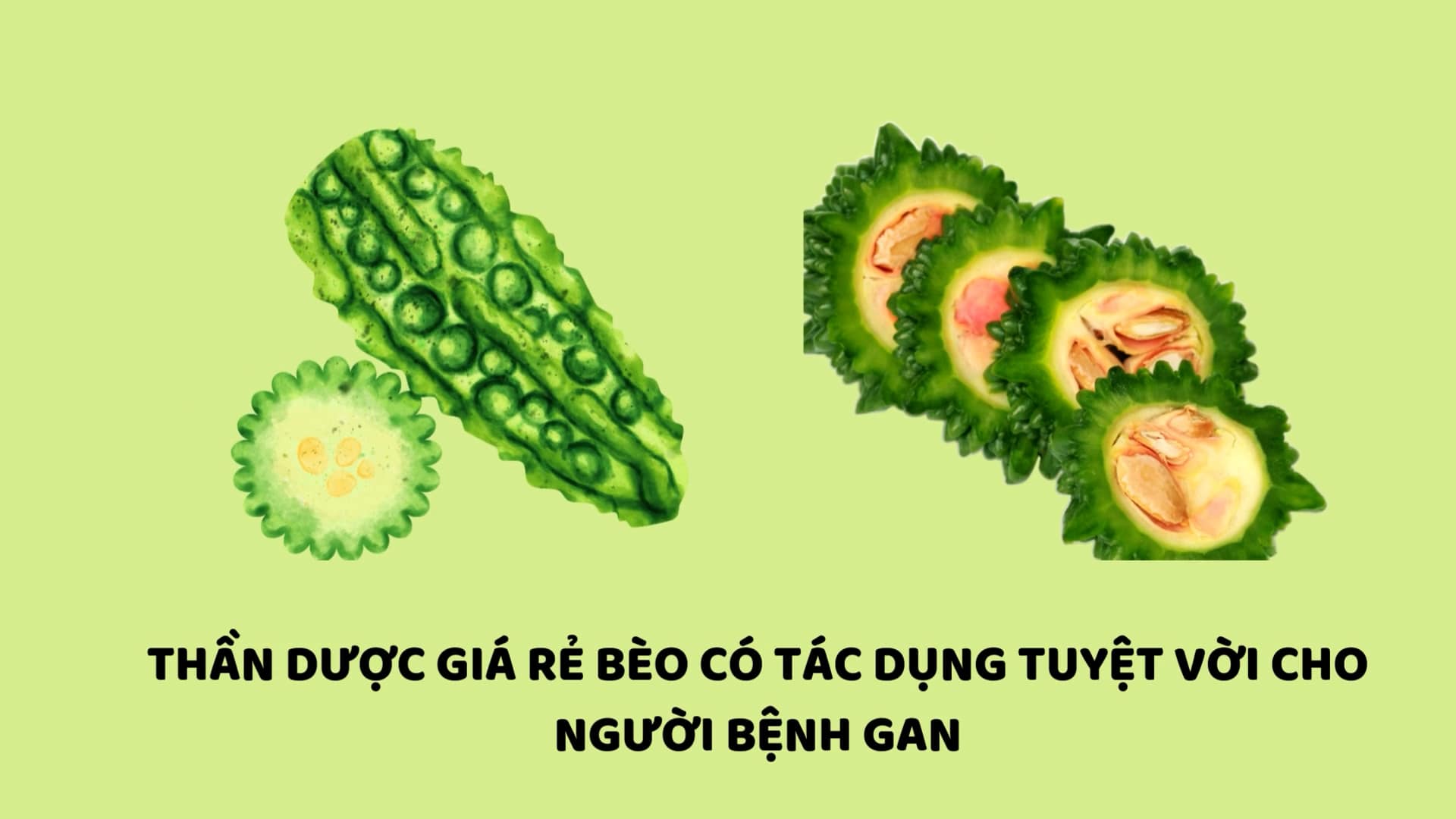 Cheap herbal medicine has an effective liver detoxification effect