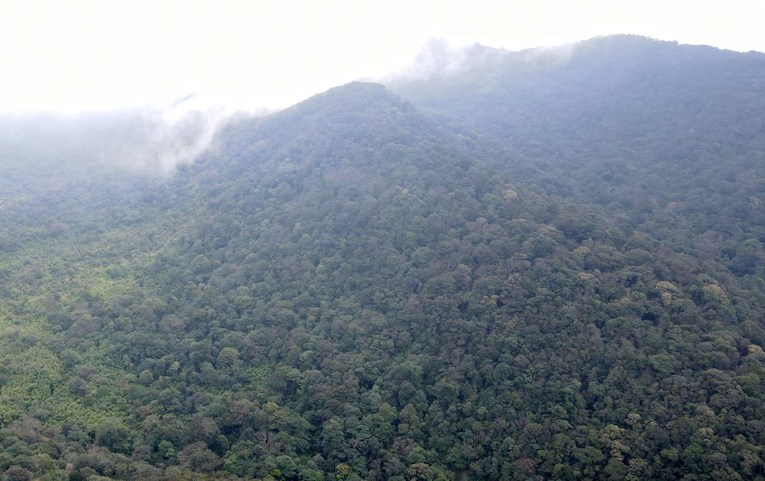 When merging the two reserves, the new unit will manage a forest area of more than 65,000 hectares. Photo: Hung Tho