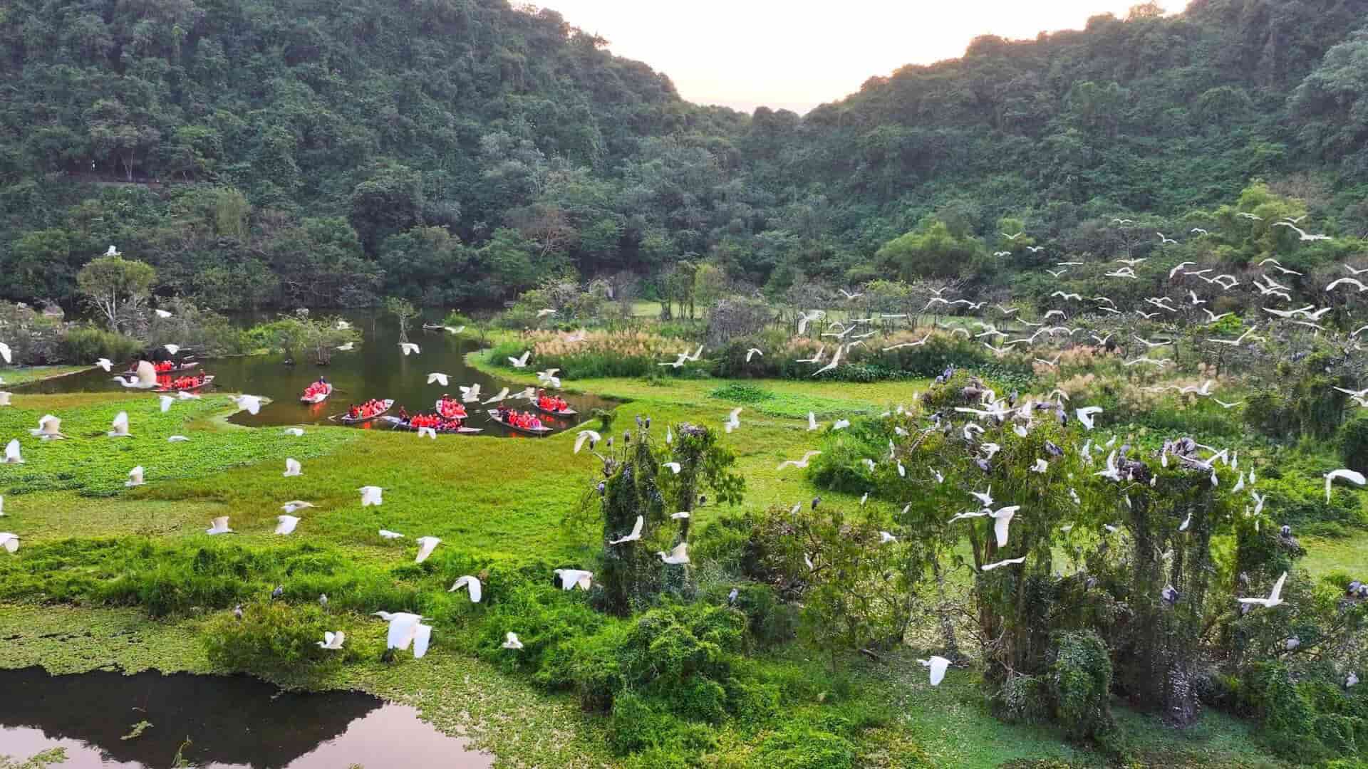 Overview of Thung Nham bird garden in the core world heritage area of Trang An in Ninh Binh. Photo: Nguyen Truong