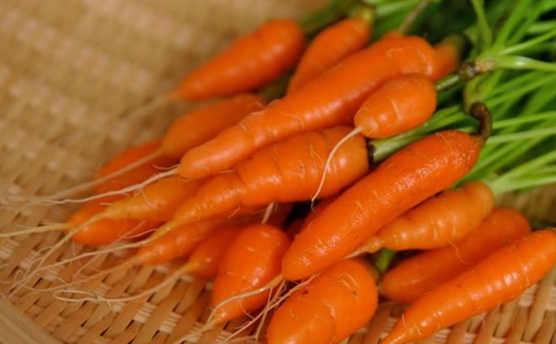 microplastics are entering the human body through many different paths, but by adding vegetables rich in fiber, we can help the body eliminate microplastics and minimize their harm. Photo: Xinhua.