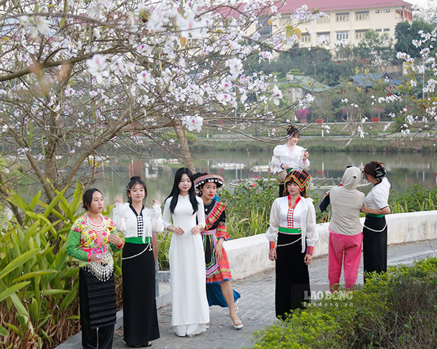 Ruc ro sac mau trong cac bo trang phuc dan toc de chup anh.