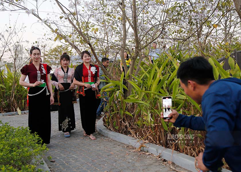 Nguoi dan, du khach hao hung chup hinh hoa ban trang.