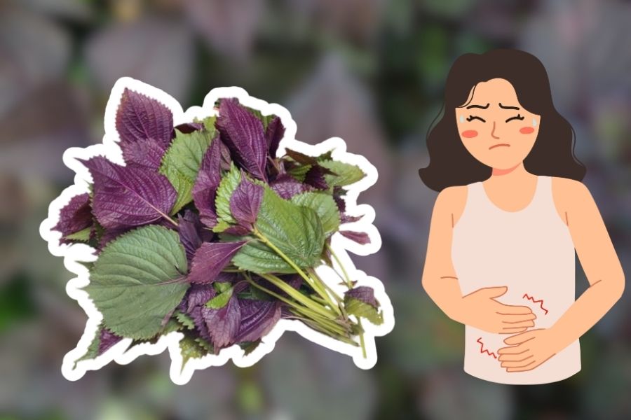 Prevent stomach pain with super cheap leaves sold in the market