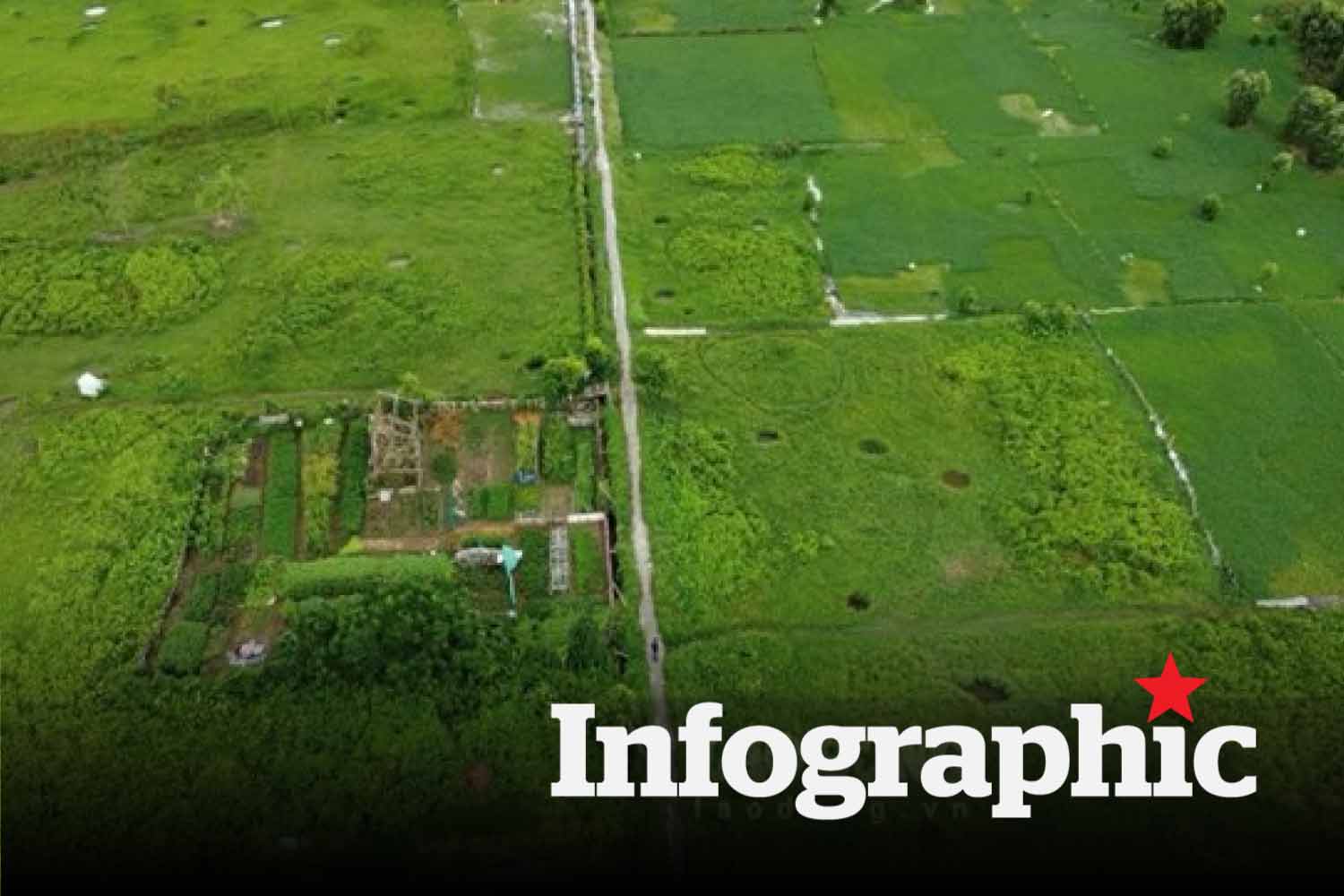 Đấu giá đất Thái Bình: 26 lô lên sàn, từ 2,8 triệu đồng/m2