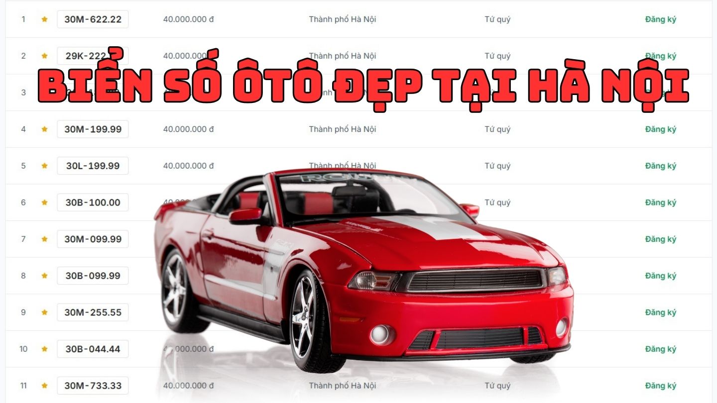 A series of super beautiful tri flower license plates in Hanoi have been auctioned