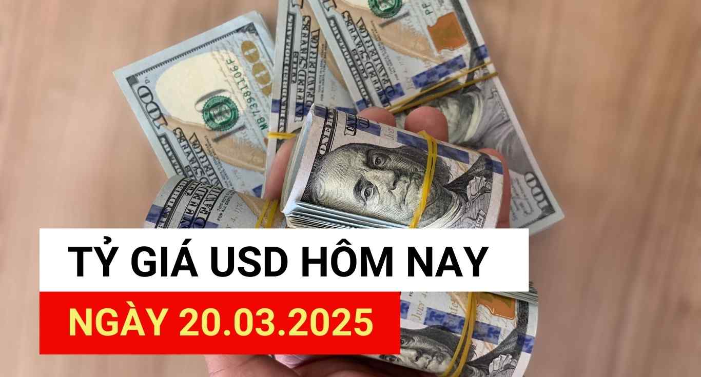 USD exchange rate today, March 20, 2025.