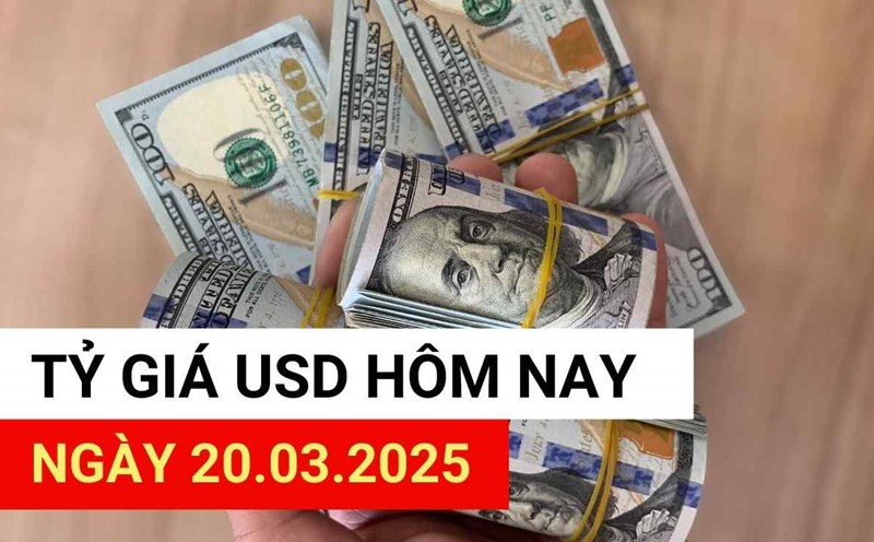 USD exchange rate today, March 20, 2025.