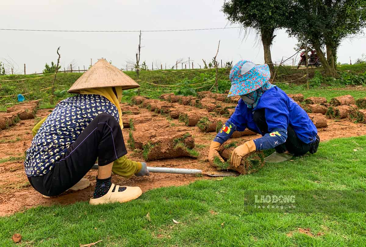 Vu trong co dau nam gia tang cao, nguoi dan xa Nam Thang (huyen Nam Truc, tinh Nam Dinh) phan khoi. Anh: Ha Vi