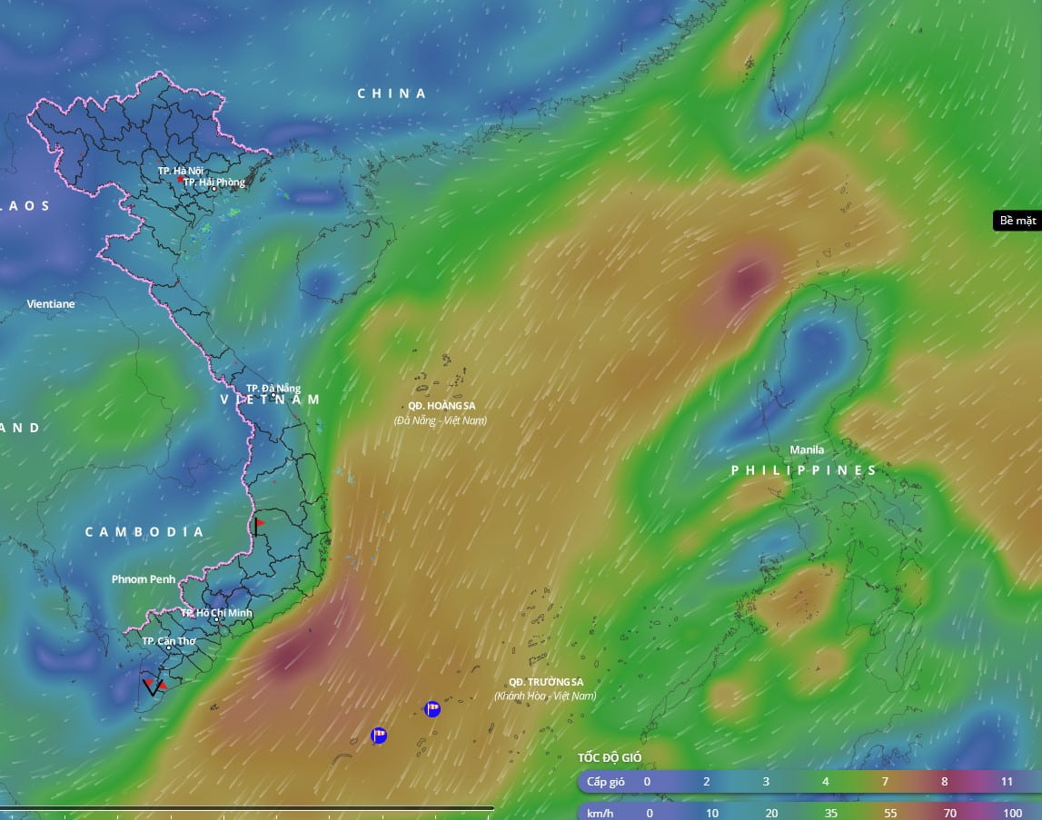 Bad weather forecast in many sea areas of the East Sea continues. above is an image of the sea wind direction updated at 4:50 p.m. on March 20. Photo: Vietnam Disaster Monitoring System