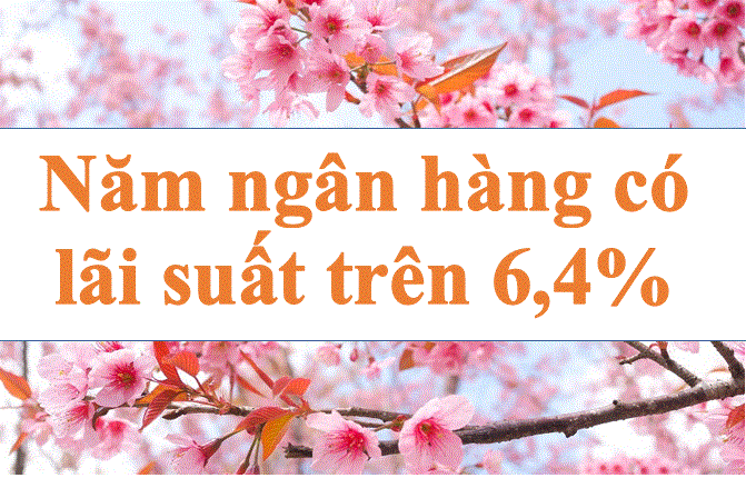 Cinco bancos tienen una tasa de interes de mas del 6,4%. Foto: Ha Vy