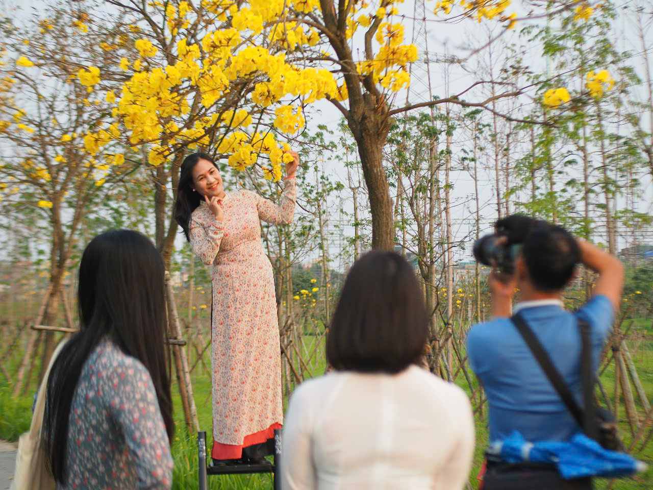 Cac “nang tho” hao huc tha dang duoi nhung tan hoa phong linh vang tuoi nhu nang.