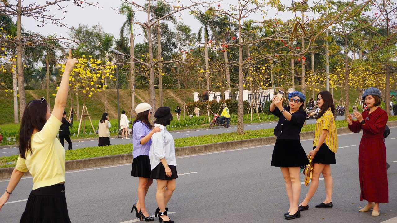 “Check-in” khong ngoi tay voi hoa phong linh, ba Thanh Tam (quan Thanh Xuan, Ha Noi) cho biet: “Hoa phong linh mang ve lang man, tung chum hoa bong benh, pho sac vang ruc ro giup len anh rat dep. Mua hoa phong linh nam nao toi cung di chup voi ban be ma khong thay chan”.
