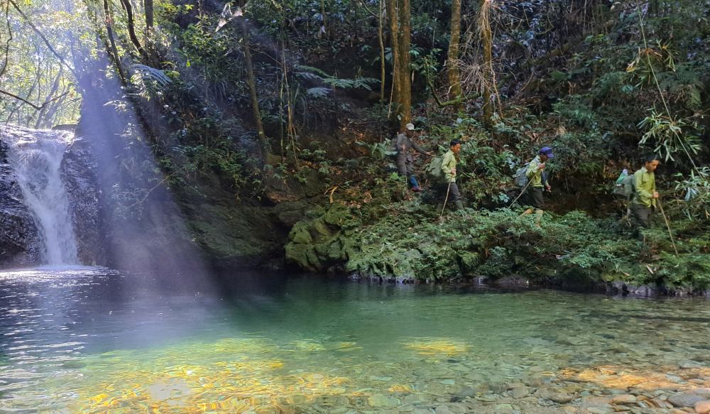 Forest animal protection patrol team in Hue