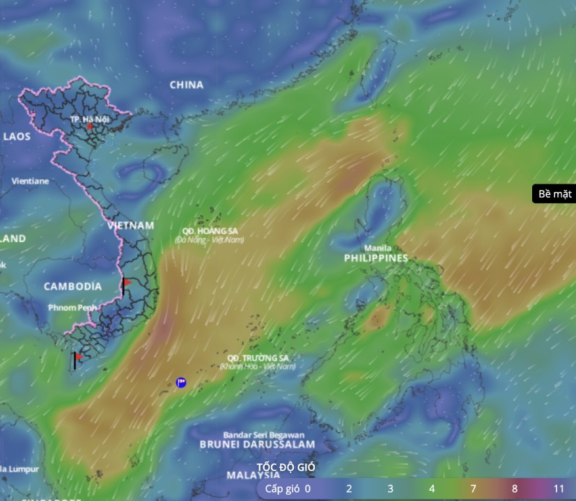 Bad weather forecast in many sea areas of the East Sea continues. above is an image of the sea wind direction updated at 2:30 p.m. on March 21. Photo: Vietnam Disaster Monitoring System