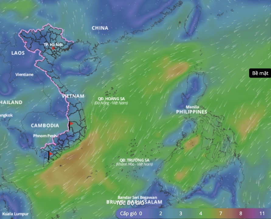Bad weather forecast in many sea areas of the East Sea continues. above is an image of the sea wind direction updated at 12:00 on March 22. Photo: Vietnam Disaster Monitoring System