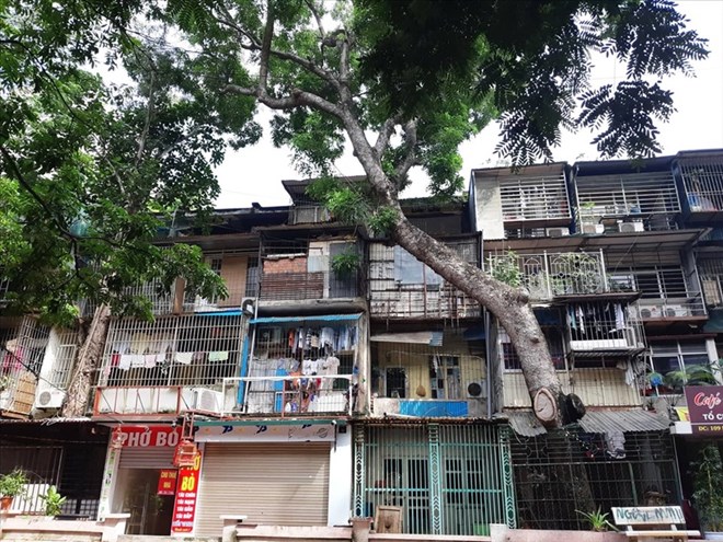 Los hogares que viven y tienen una residencia permanente en el hogar son casas temporales o casas gravemente dañadas cuentan con la reparacion de la vivienda. Obra de arte: HA VI