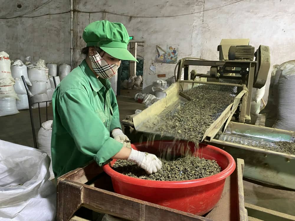 Workers' Month 2025 to recognize and commend the contributions to production and business of workers. Photo: Thanh Tuan