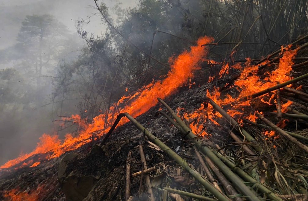 A major fire in the Nghiem mountain forest in Tuyen Quang. Photo: Viet Bac