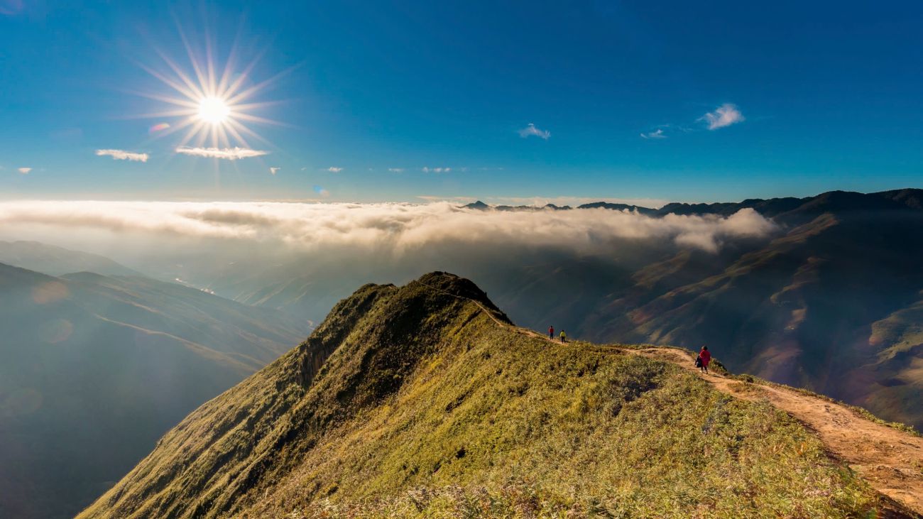 bathing in the forest in the vast ancient tea forest of white clouds in Ta Xua. Photo: Hai An