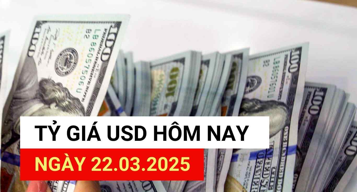 Tipo de cambio de USD hoy 22.3.2025.