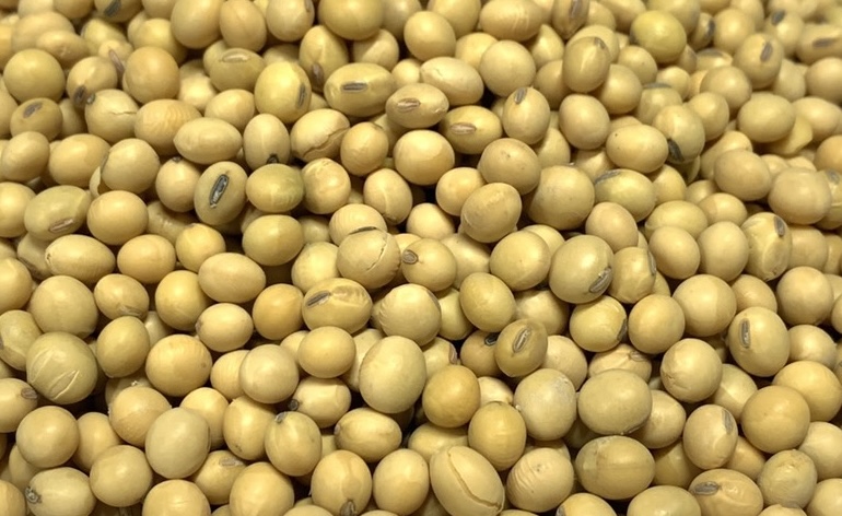 Drinking soy milk at the right time will support effective liver detoxification but you need to consult a doctor. Photo: Kieu Vu