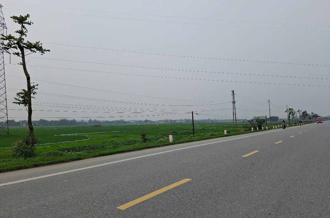 Many trees that had died after being planted on both sides of National Highway 15B have now been cut down, creating a large gap between the living trees. Photo: Tran Tuan.