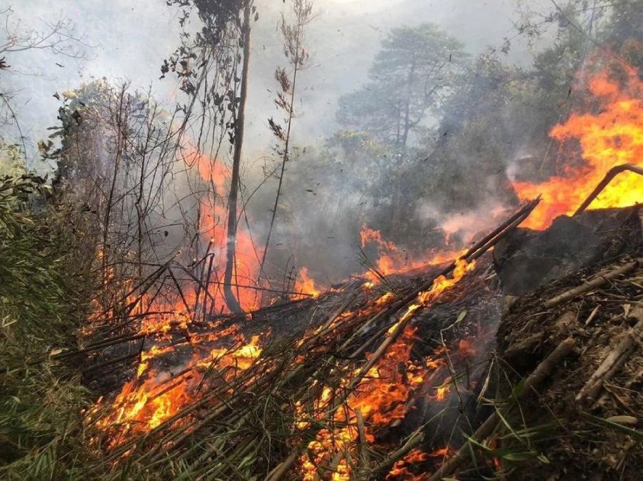 Scene of the forest fire in Hoang Khai commune, Yen Son district, Tuyen Quang province. Photo: VGP