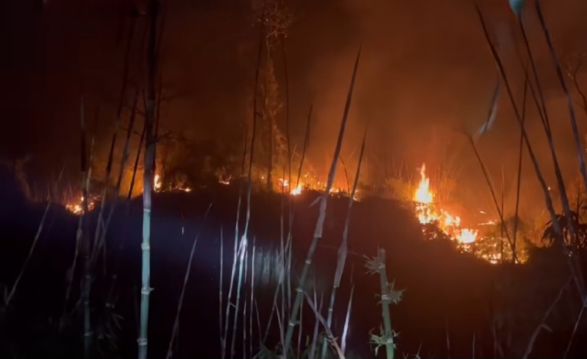 Forest fire in Ong Mo mountain area. Photo: Provided by the people
