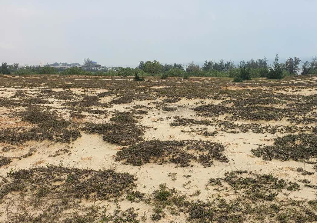 The Indochina Quang Binh Resort project was announced to be revoked without any construction action. Photo: Thien Thanh