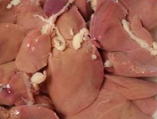 About 100g contains up to 370mg of cholesterol. Photo: Kieu Vu