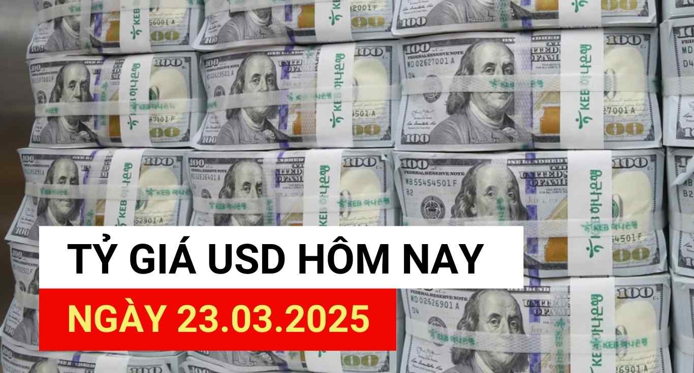 USD exchange rate today, March 23, 2025.