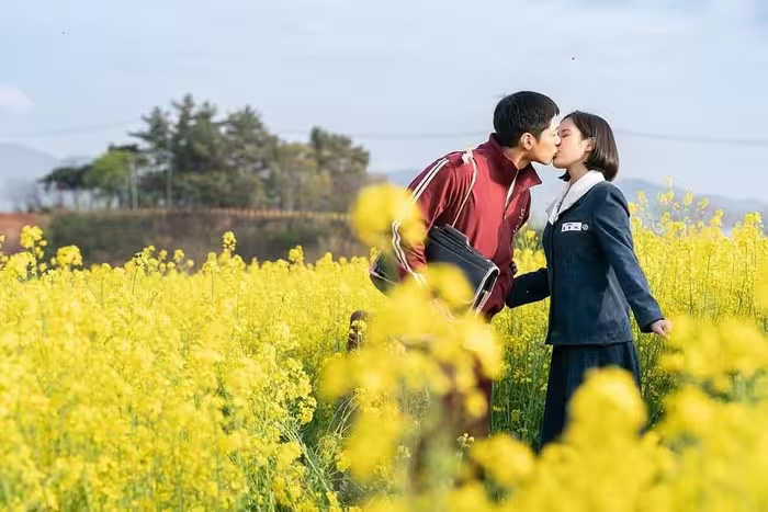 Jeju tourism has great appeal after the movie When Life Is for You. Photo: Netflix