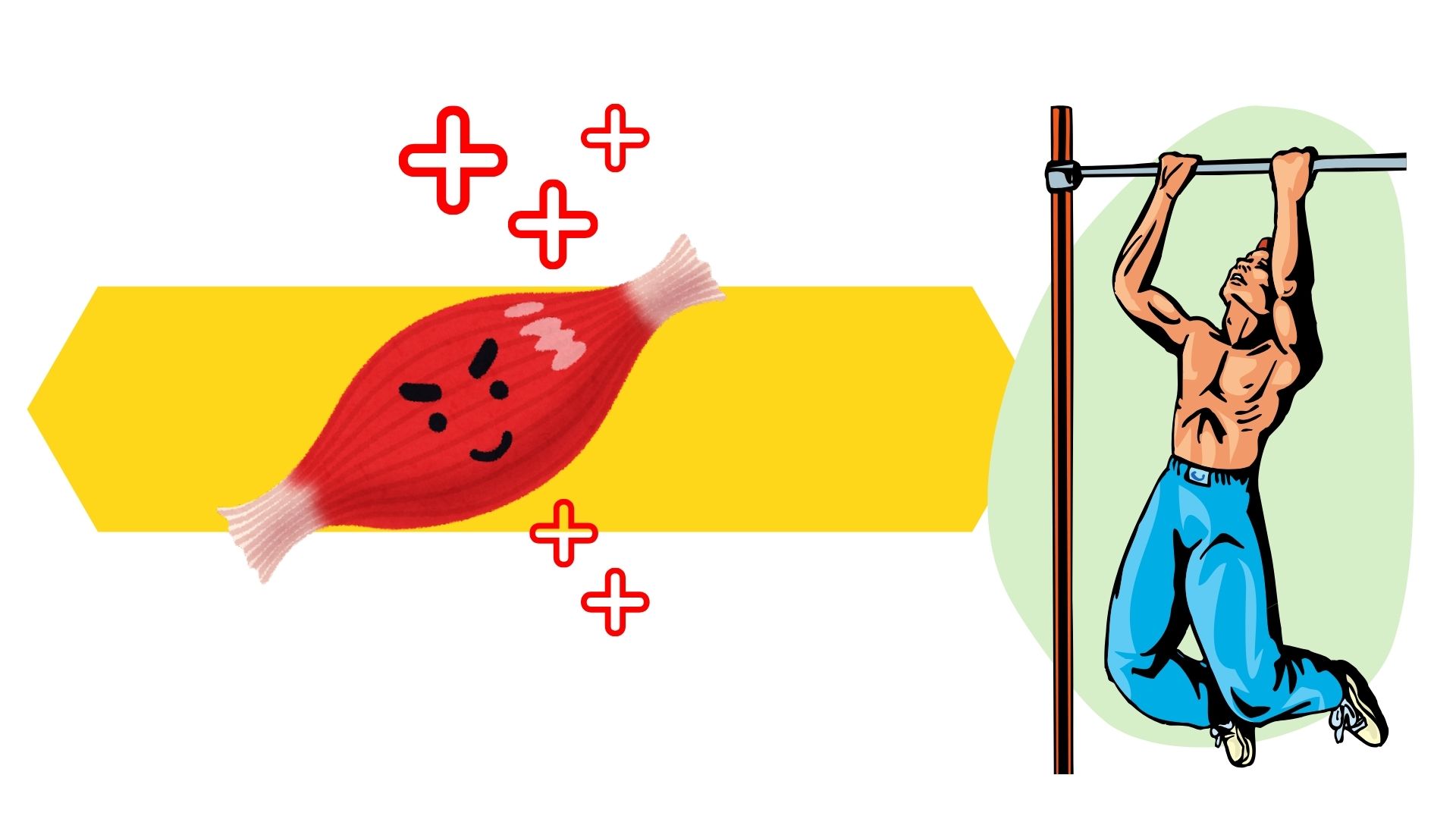 A series of weekly bodybuilding exercises to increase muscle mass quickly