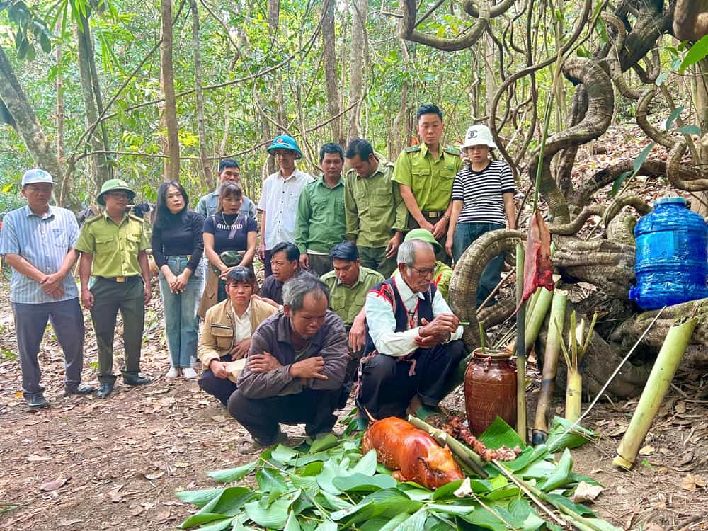 Làng O Grang gìn giữ nét thiêng liêng trong lễ cúng rừng