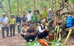 Làng O Grang gìn giữ nét thiêng liêng trong lễ cúng rừng