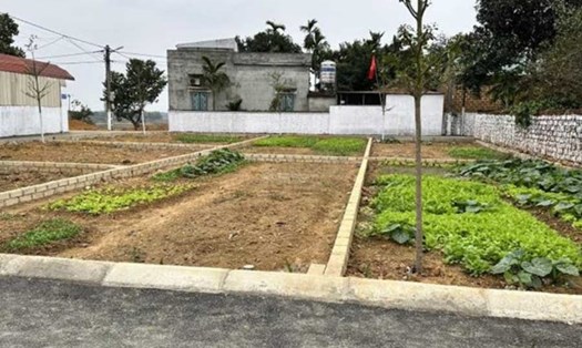 Nhiều lô đất nền ở huyện Thạch Thất (Hà Nội) đang rao bán tìm người mua. Ảnh: Thu Giang