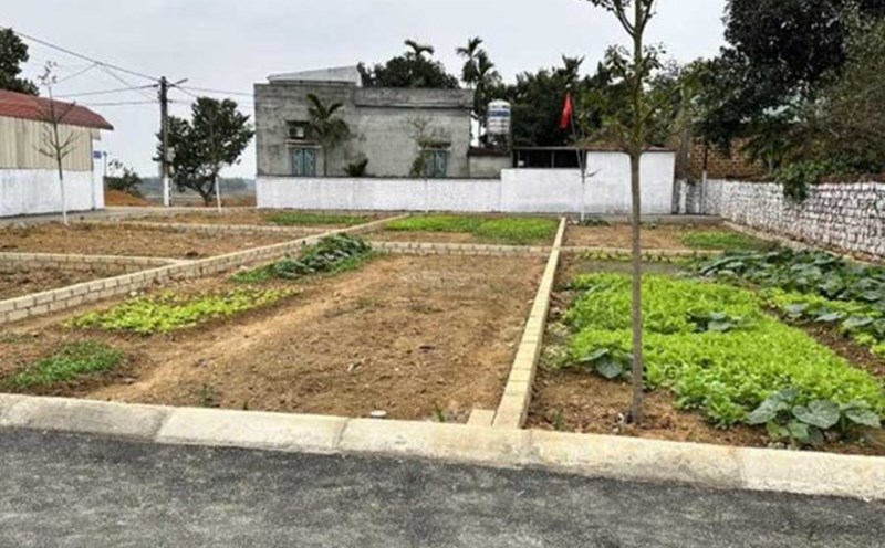 Many plots of land in Thach That district (Hanoi) are being advertised for sale to find buyers. Photo: Thu Giang