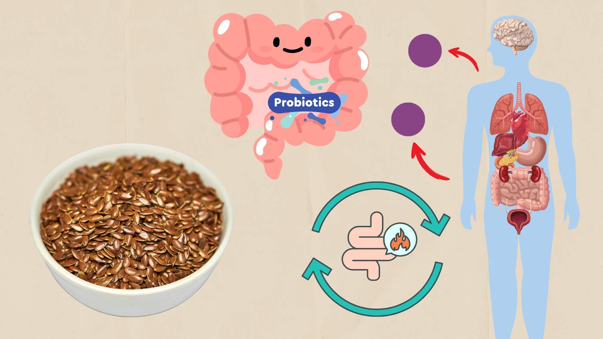 Seeds to eat regularly for effective detoxification